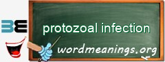 WordMeaning blackboard for protozoal infection